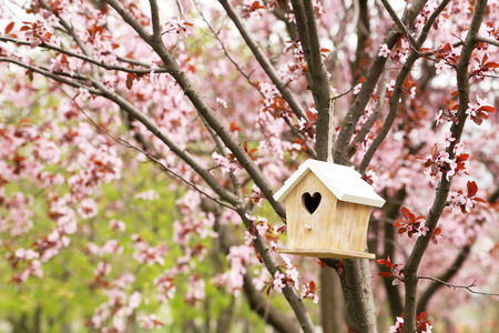 Nesting box hanging on the treeの写真素材