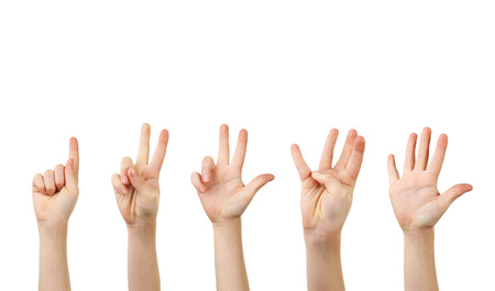 Child hand on white backgroundの写真素材