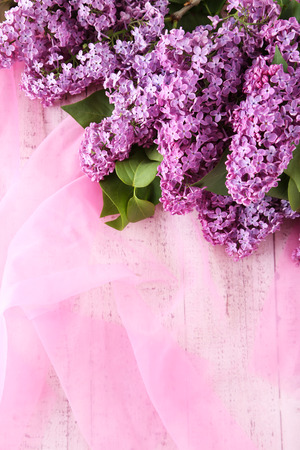 Beautiful lilac flowers on pink cloth backgroundの写真素材