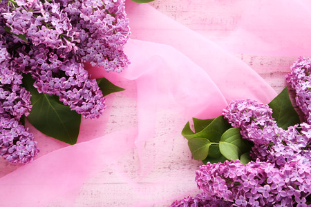 Beautiful lilac flowers on pink cloth backgroundの写真素材