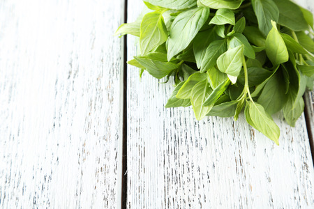 Basil leaves on white wooden backgroundの写真素材