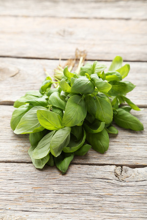 Basil leaves on grey wooden backgroundの写真素材