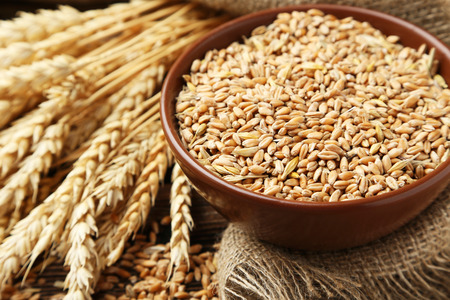Ears of wheat and bowl of wheat grains on brown wooden backgroundの写真素材