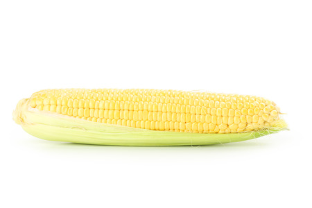 Corn isolated on a whiteの写真素材