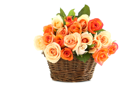 Bouquet of orange roses in basket isolated on whiteの写真素材
