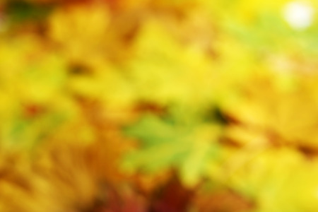 Bokeh of Autumn leaves background, close upの写真素材