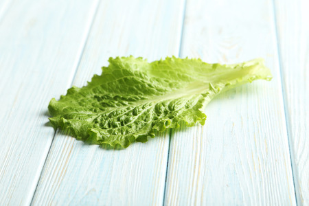 Fresh salad lettuce on a blue wooden backgroundの写真素材