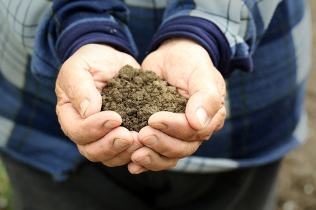 Old male hands holding ground, close upの写真素材