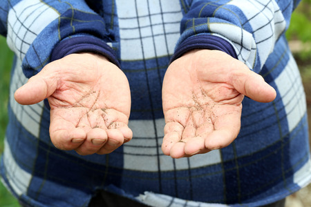 Old male hands in ground, close upの写真素材
