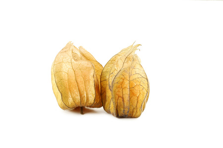 Ripe physalis isolated on a white backgroundの写真素材