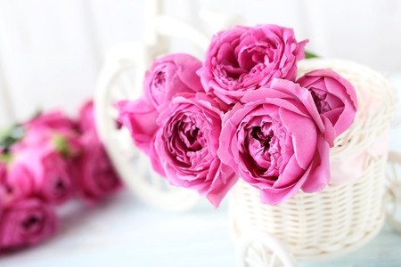 Beautiful pink roses on a white wooden tableの写真素材