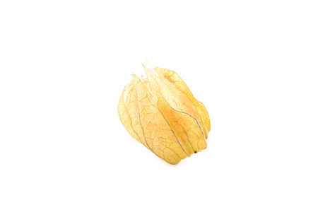 Ripe physalis isolated on a white backgroundの写真素材