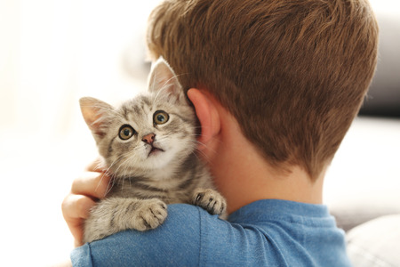 Child with kitten on hands at homeの写真素材