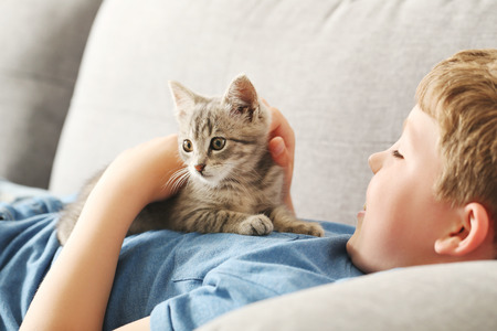 Child with kitten on grey sofa at homeの写真素材