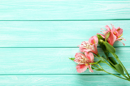 Beautiful alstroemeria flowers on a mint wooden tableの写真素材