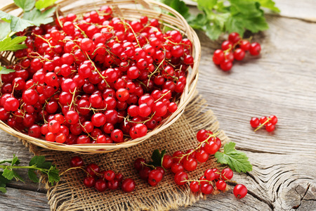 Red currant on a grey wooden table