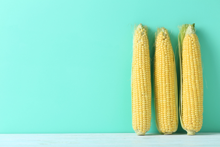 Ripe and tasty corn on blue wooden tableの写真素材