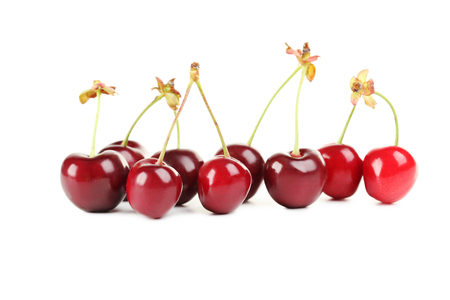 Ripe cherries isolated on a white backgroundの写真素材