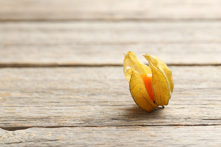 Ripe physalis on a grey wooden tableの写真素材