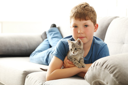 Child with kitten on grey sofa at homeの写真素材