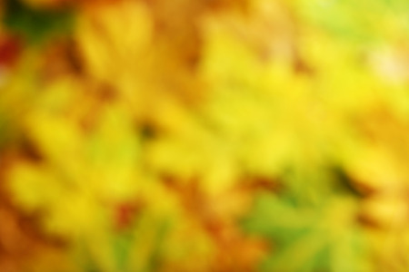 Bokeh of Autumn leaves background, close upの写真素材