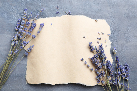 Bunch of lavender flowers with blank sheet of paper on grey backgroundの写真素材