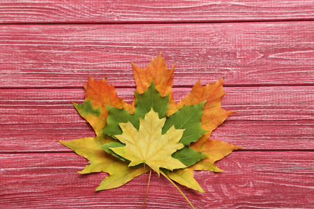 Autumn leafs on red wooden table