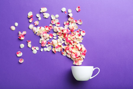 Rose petals and white cup on a purple backgroundの写真素材