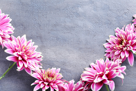 Bouquet of chrysanthemum flowers on a grey wooden tableの写真素材