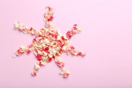 Rose petals on a pink backgroundの写真素材