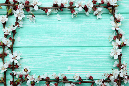 Tree branches with flowers on mint wooden tableの写真素材