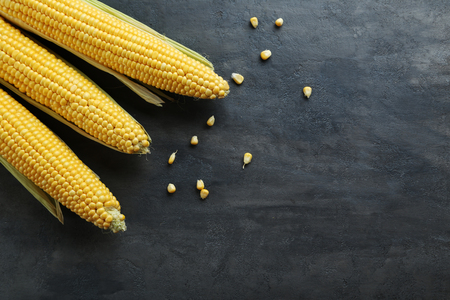 Sweet corns on a grey wooden tableの写真素材