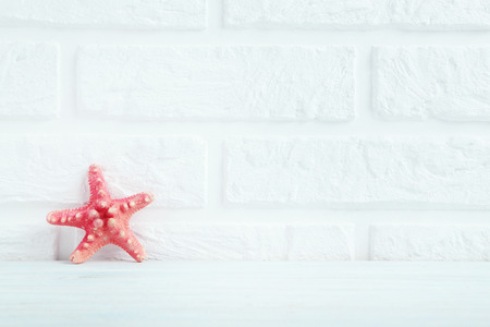 Starfish on a brick wall backgroundの写真素材