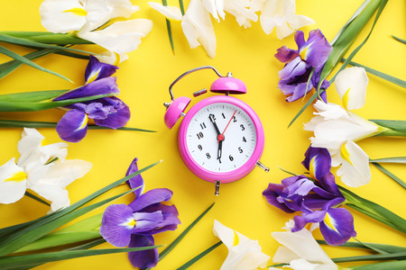 Purple and white iris flowers with alarm clock on yellow backgroundの写真素材