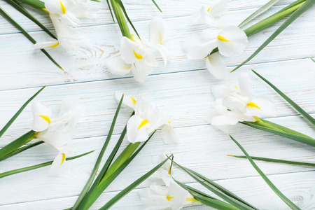Bouquet of iris flowers on white wooden tableの写真素材