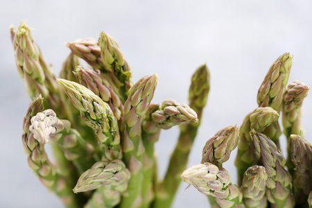 Green asparagus on the grey backgroundの写真素材