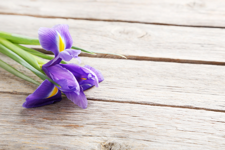 Purple iris flower on grey wooden tableの写真素材