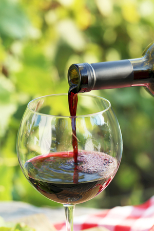 Pouring red wine into the glassの写真素材