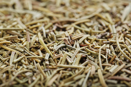 Dry rosemary backgroundの写真素材