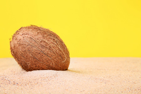 Coconut on the beach sandの写真素材
