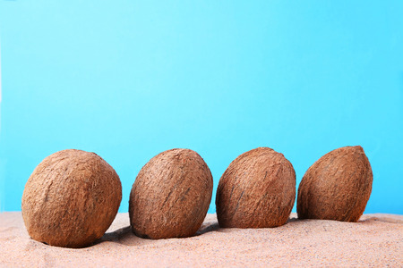 Coconuts on the beach sandの写真素材