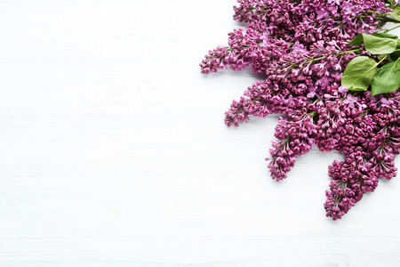Branch of lilac flowers on white wooden tableの写真素材