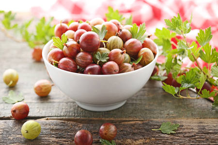 Ripe gooseberries fruit in bowl with tree branch on wooden tableの写真素材