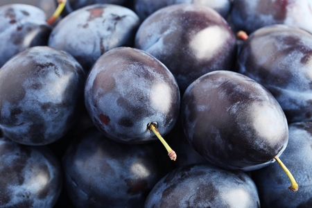 Ripe and sweet plums backgroundの写真素材