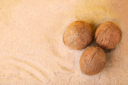 Coconuts on the beach sandの写真素材
