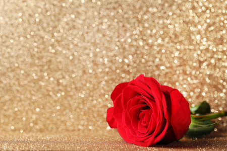 Red rose on golden lights backgroundの写真素材