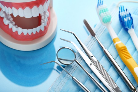 Teeth model with dental tools and toothbrushes on blue background