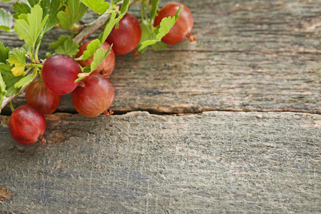 Ripe gooseberries fruit with leafs on wooden tableの写真素材