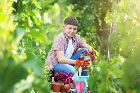 Young boy with flowers and tools in the gardenの写真素材