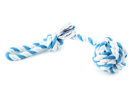 Pet toy isolated on white backgroundの写真素材